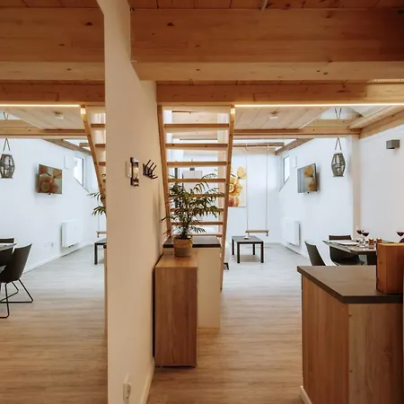 Modern Elegance Lofts - Wohnen Auf Zwei Ebenen Lejlighed Passau Eksteriør billede